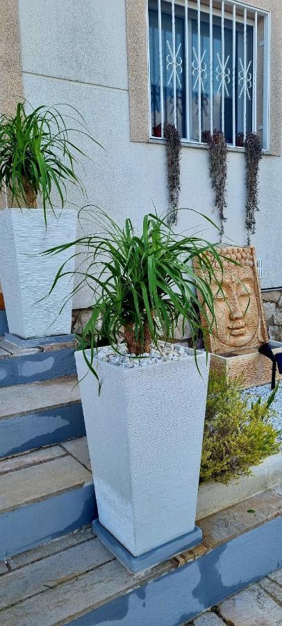 Villa Rosa De Los Vientos Les Tres Cales Exterior foto